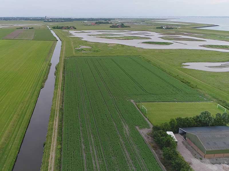doutepoppe-mooie-omgeving-natuur