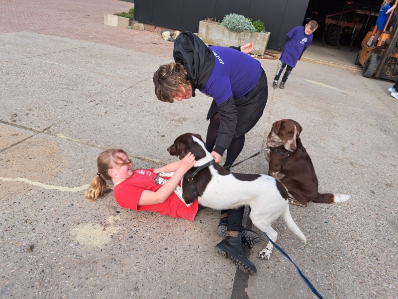 honden knuffelen